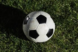 足彩310功能演示截图