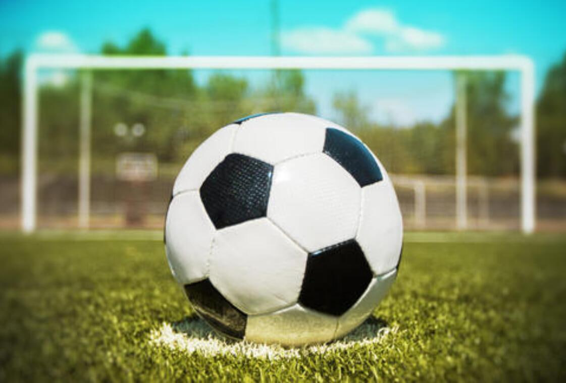 足彩310应用下载示意图